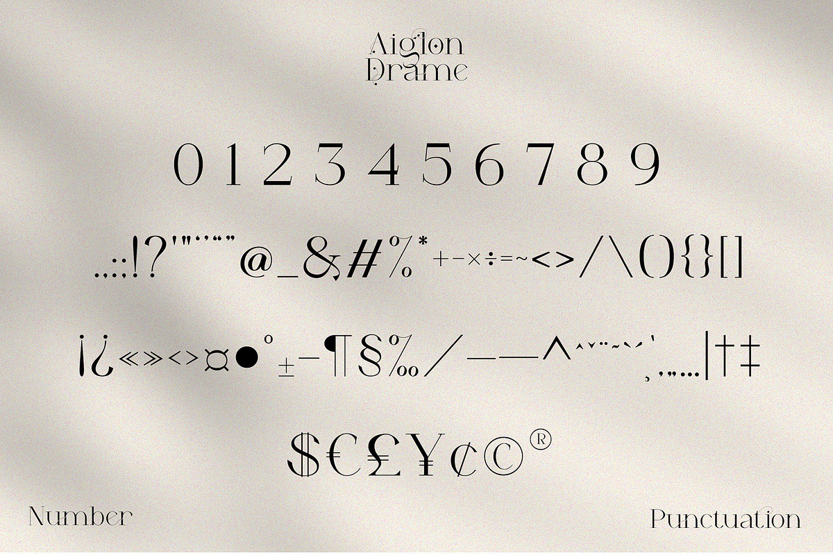 Aiglon Drame - Modern Ligature Serif, a Serif Font by erlosDESIGN (Photo 11 of 13)