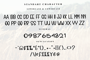 Friendship, a Serif Font by InermediaSTUDIO (Thumbnail 3 of 7)
