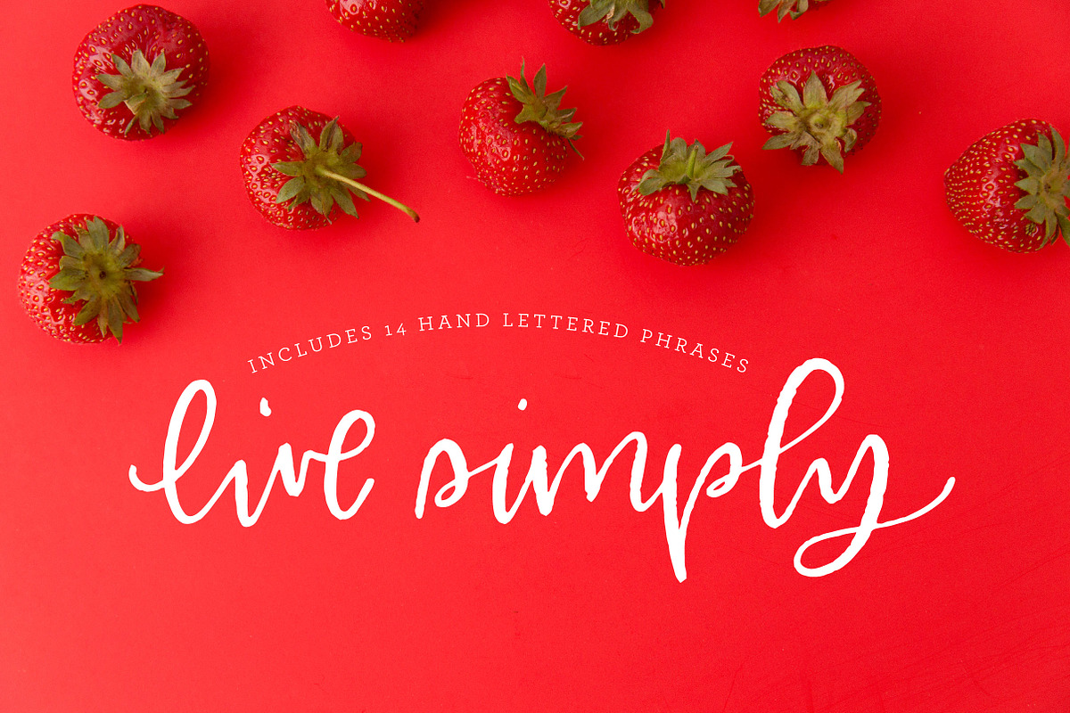 MilkTea, a Script Font by OnTheSpotStudio (Photo 11 of 11)