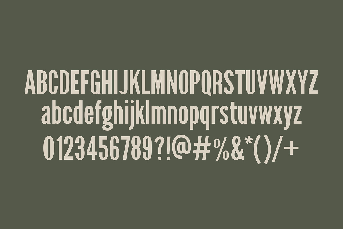 Hamlet Vintage Font, a Sans Serif Font by Sombrero Craft (Photo 2 of 4)