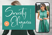 Sanitizer Eticulate Stylish Font, a Script Font by stylishtype.co (Thumbnail 3 of 20)