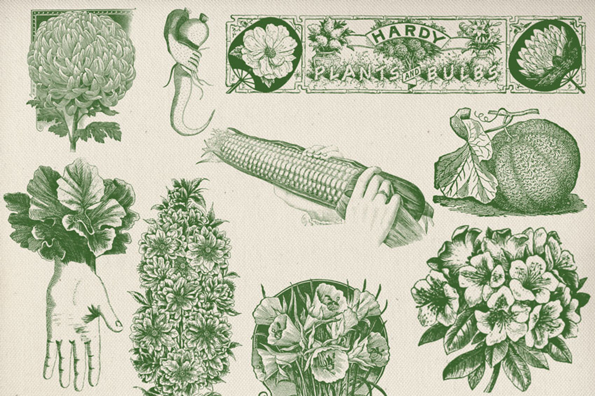 Vintage Garden & Seeds Brushes Set preview 4