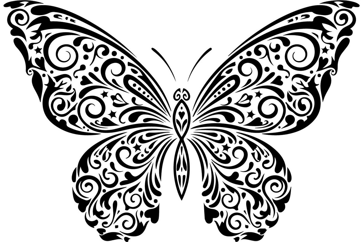Butterfly Silhouette Bundle, a Decorative Illustration by Designer_Momina (Photo 12 of 20)