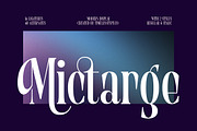 Begosta Modern Display Serif, a Serif Font by timelesstype.co (Thumbnail 15 of 20)