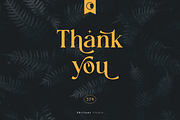 Sophista Belucy Display Beauty Font, a Serif Font by Skillyas_Studio (Thumbnail 12 of 12)