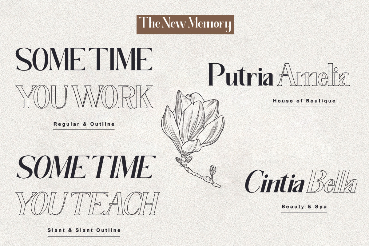 The New Memory, a Serif Font by TM Type (Photo 11 of 17)