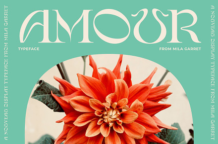 Amour Modern Display Logo Serif, a Sans Serif Font by Mila Garret