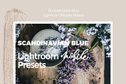 Scandinavian Lightroom Mobile Preset, an Action Add-On by in between details (Thumbnail 12 of 13)