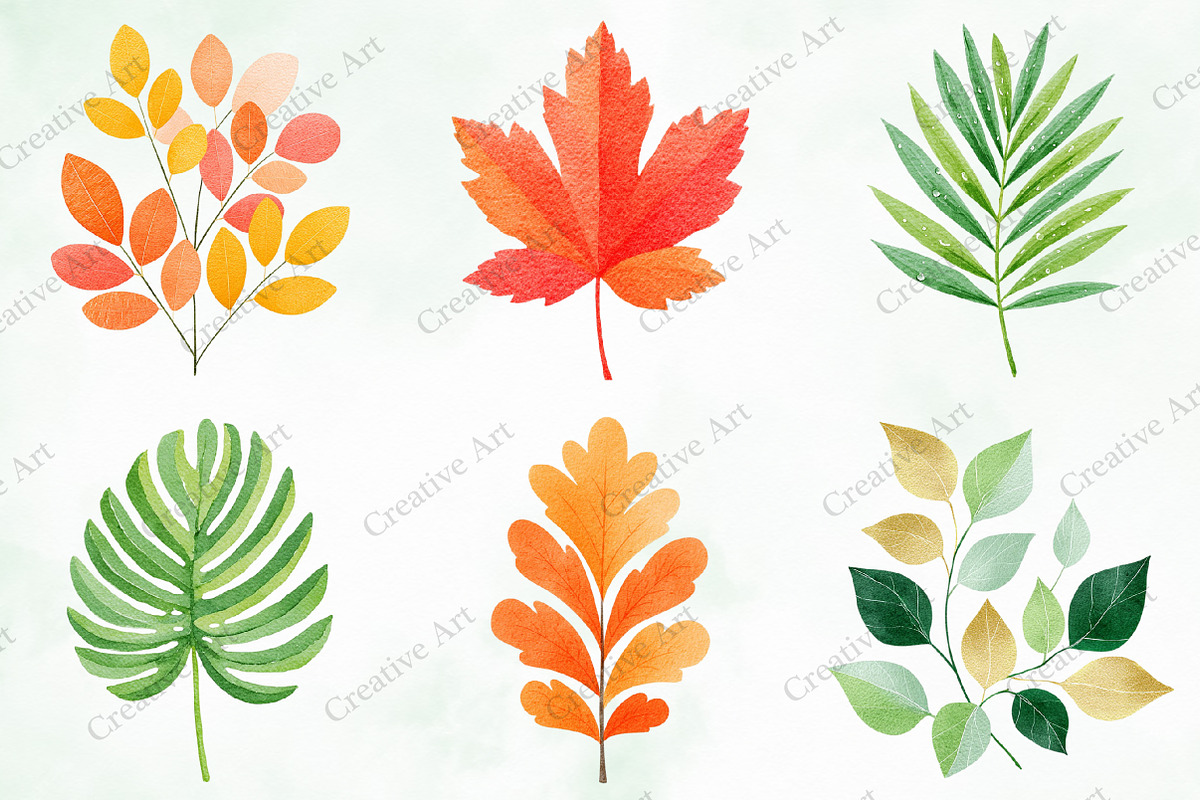 Watercolor Leaves Clipart Set, an Illustration by Creative Art (Photo 2 of 10)