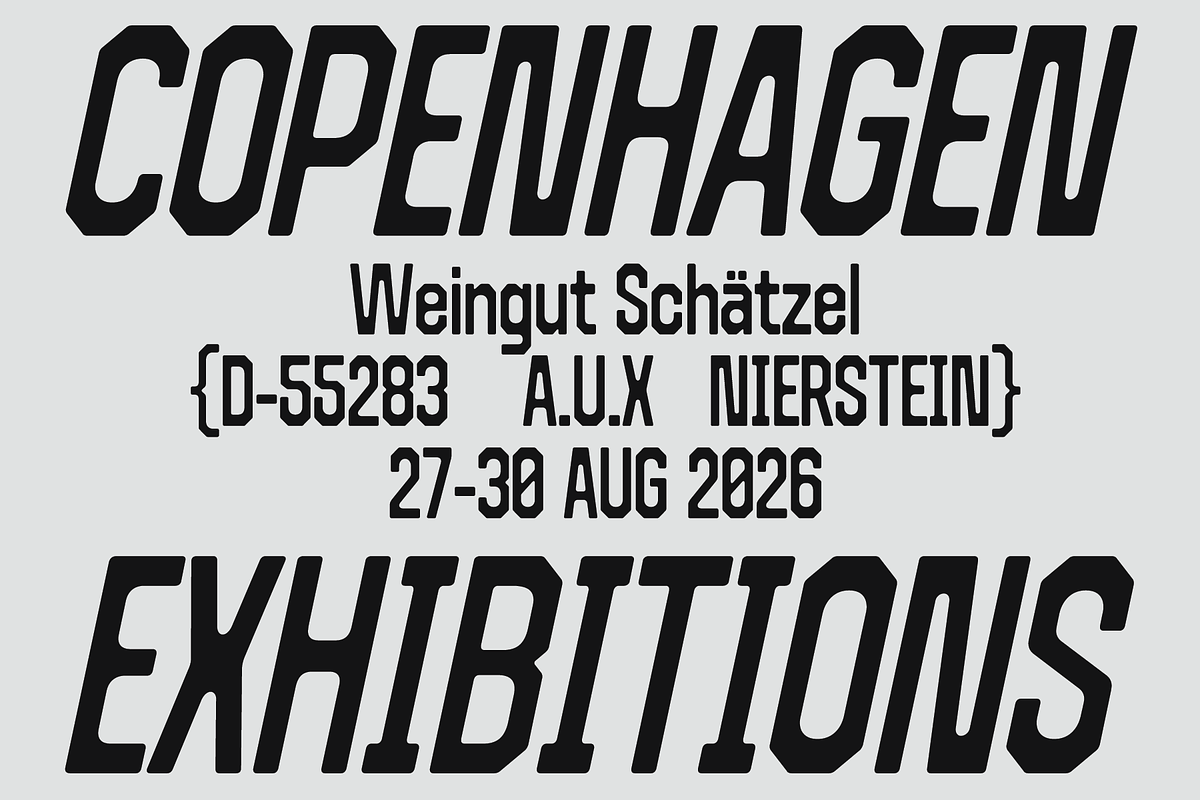 403 Code Fuzz, a Sans Serif Font by 403 Type Foundry (Photo 9 of 18)