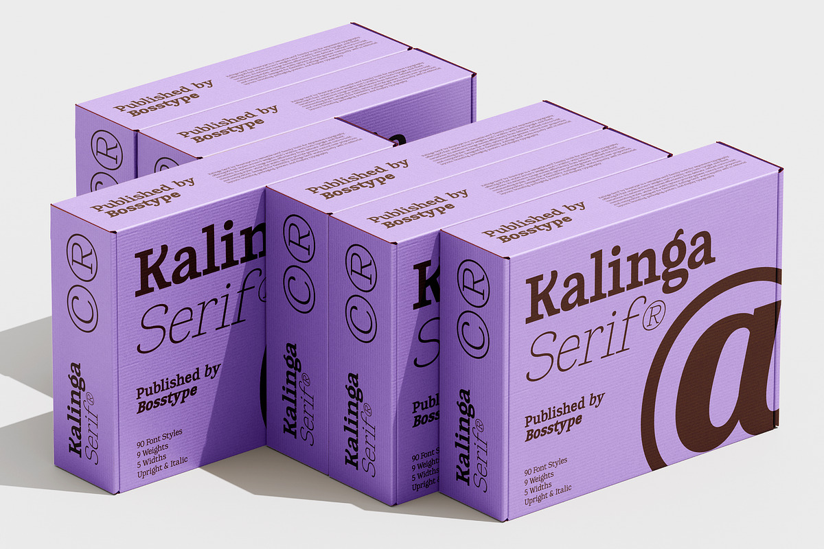 Kalinga | 91 Style Font, a Serif Font by Bosstype Studio (Photo 13 of 15)
