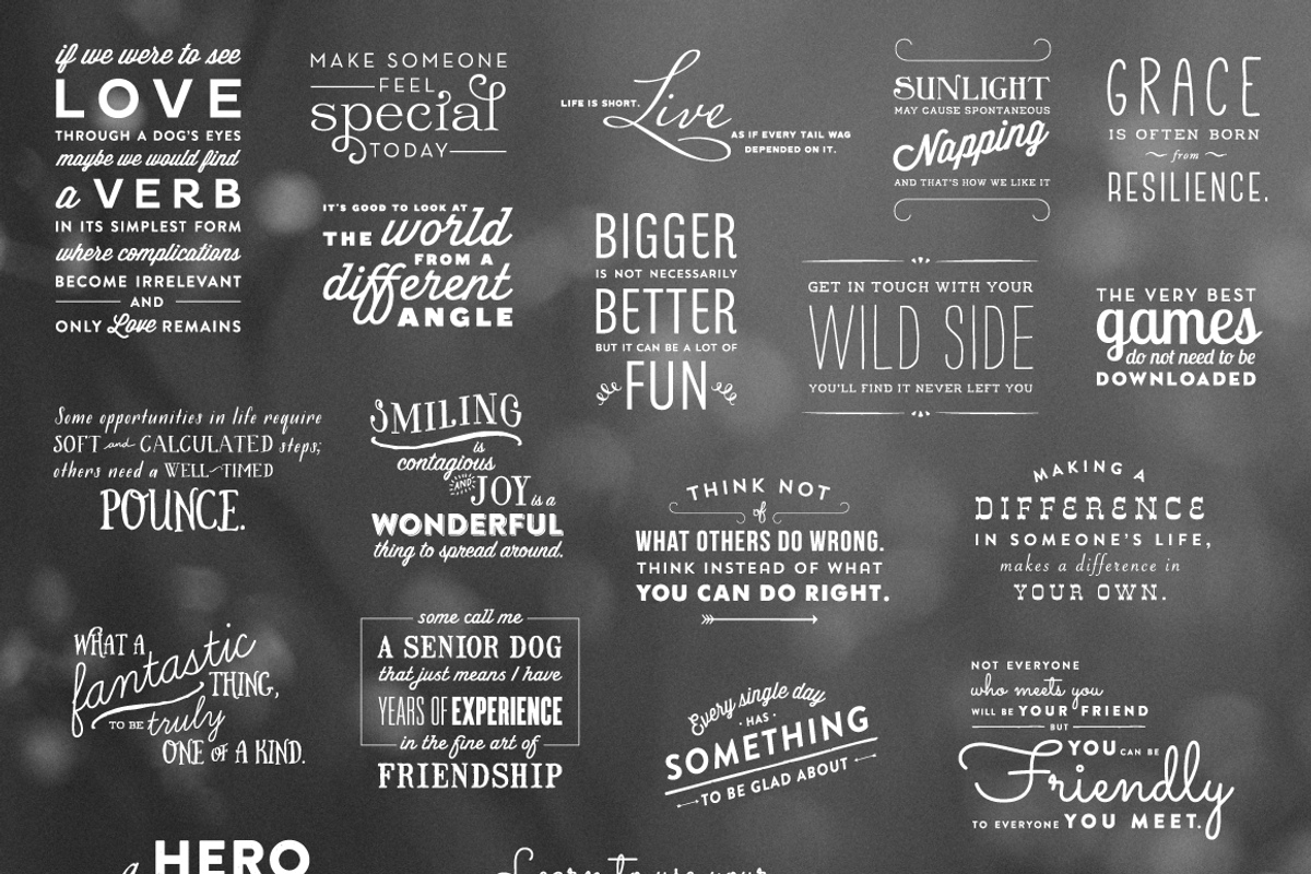 Lessons from the Water Bowl Overlays, a Graphic by The Labs & Co. (Photo 2 of 3)