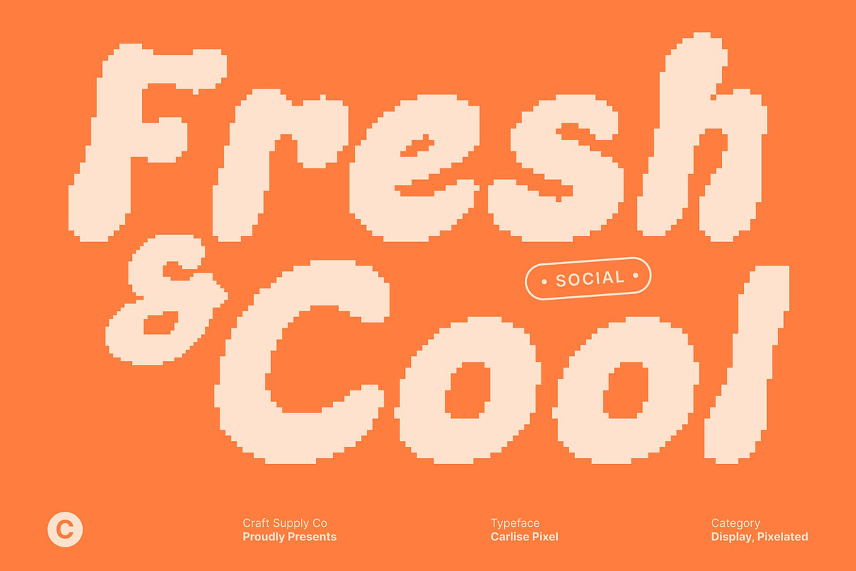 Carlise Pixel, a Sans Serif Font by Craft Supply Co. (Photo 4 of 8)