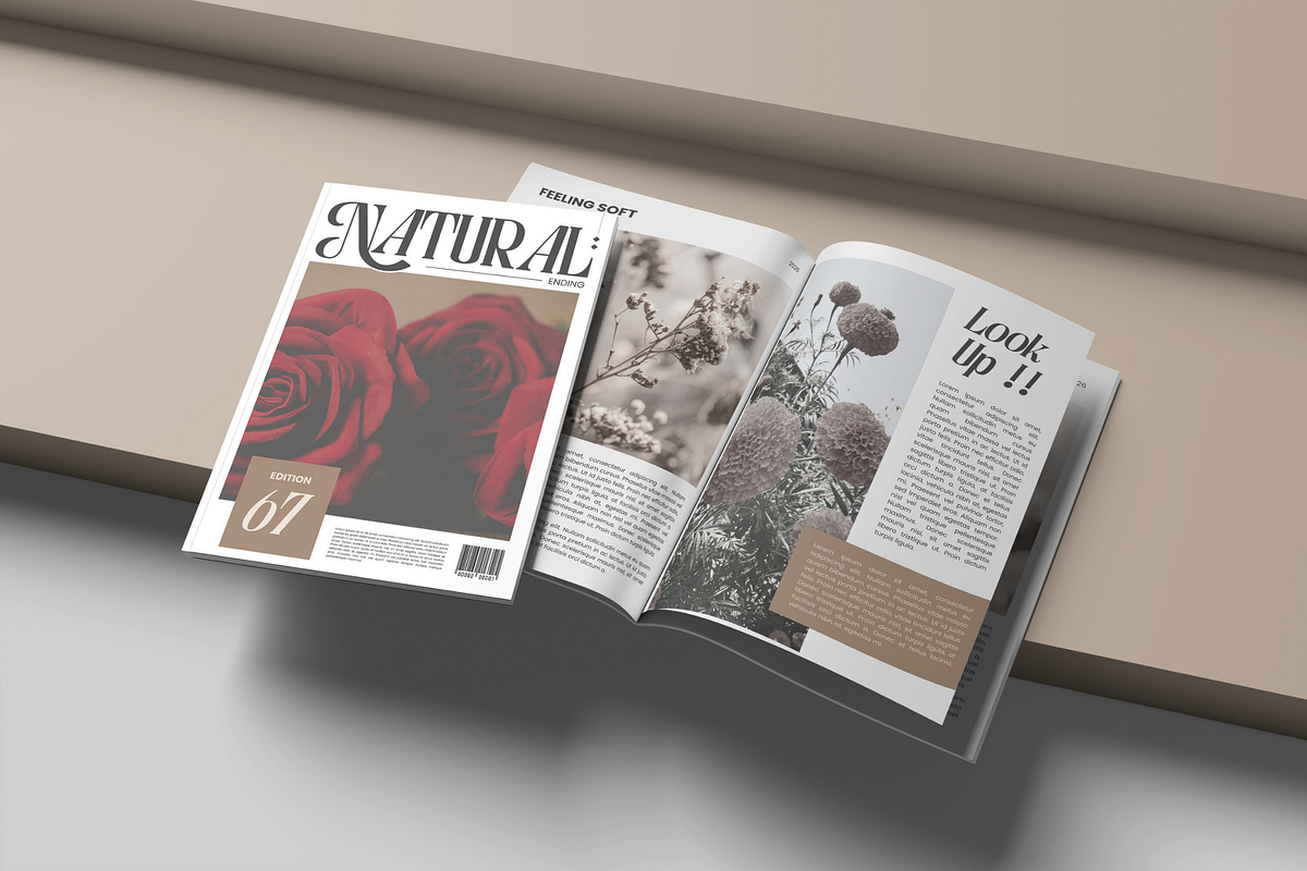 Astella Luxury - Branding Logo Font, a Serif Font by Nirmana Visual (Photo 8 of 16)