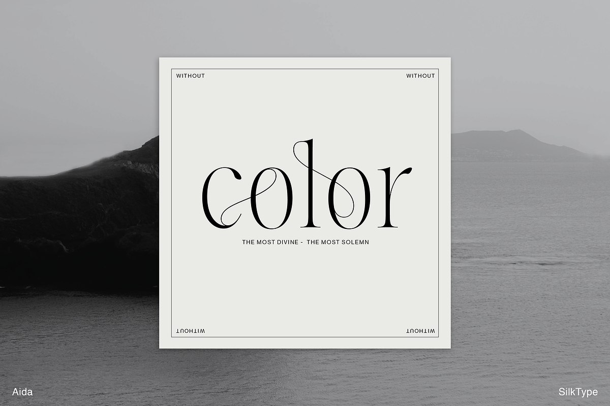 Aida | 10 Font Ligature Serif, a Font by Silktype (Photo 13 of 20)