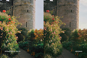 Kodak Ektar 100 IV, a Preset Add-On by colorituals (Thumbnail 4 of 8)