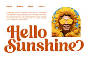 Dusty Brothe Groovy Serif Display, a Serif Font by timelesstype.co (Thumbnail 14 of 20)