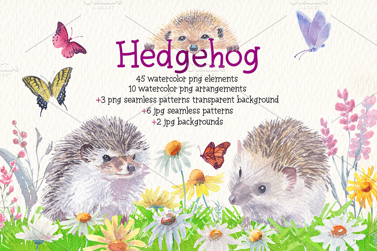 Hedgehog watercolor clipart, an Illustration by Art & Things (Photo 1 of 7)