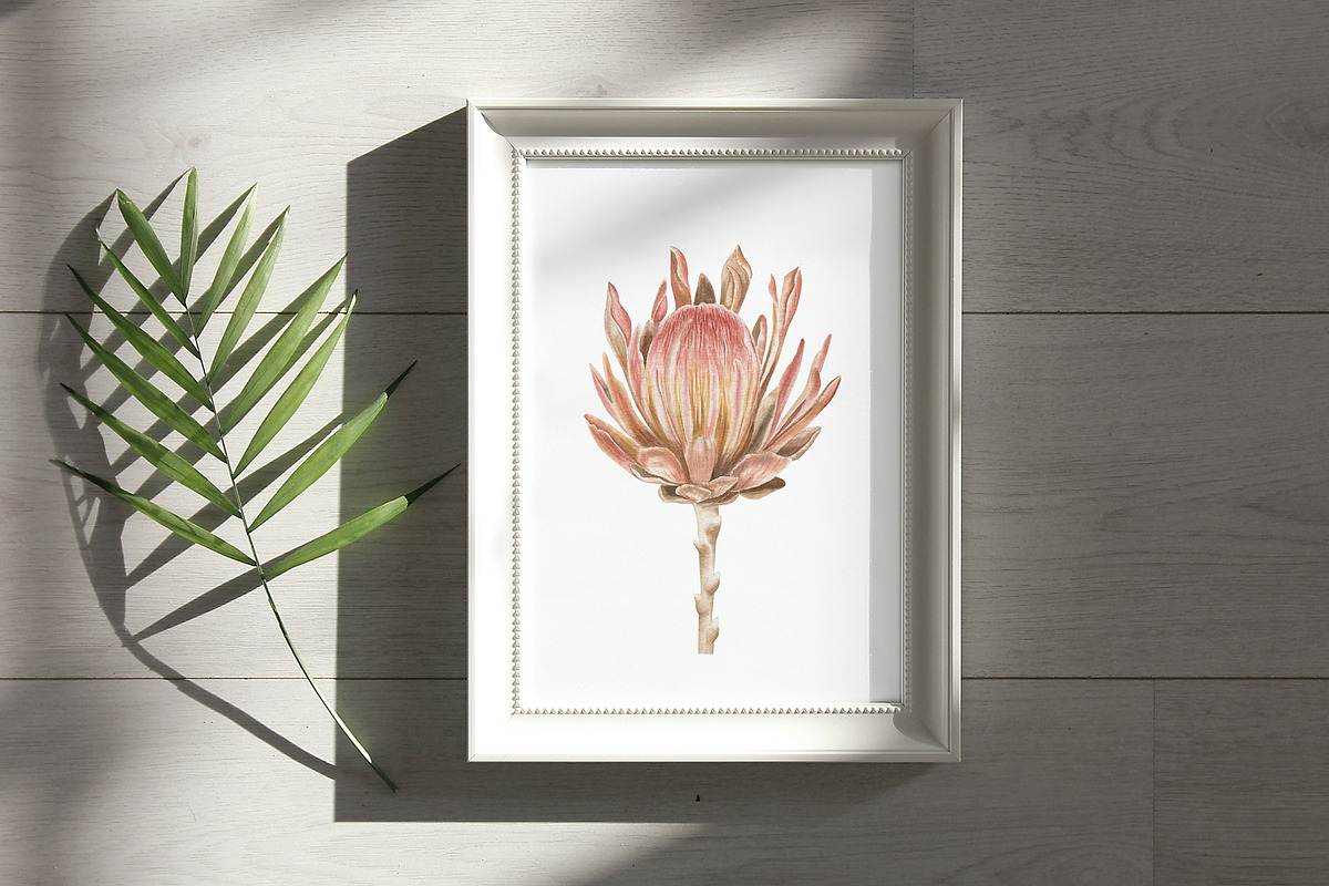 Watercolor boho collection, a Decorative Illustration by ViolettaKh (Photo 7 of 14)