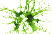 Splashes of liquids, a Food Illustration by Leone_v (Thumbnail 2 of 5)