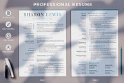 Professional Resume Format Example, a Resume Template by HIRED Design Studio (Thumbnail 2 of 18)