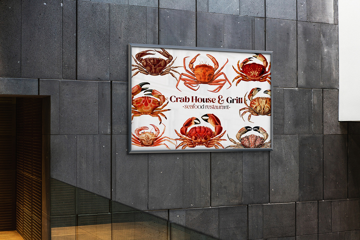 Vintage Crab illustrations, an Animal Illustration by Natalka Dmitrova art (Photo 5 of 12)