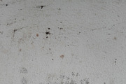 Mold Wall Texture Pack, a Texture Graphic by The_DrX (Thumbnail 5 of 13)
