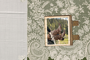 260+ Wild Lace. Soft. Wild. Timeless, an Object Graphic by Lilithcollageart (Thumbnail 7 of 11)
