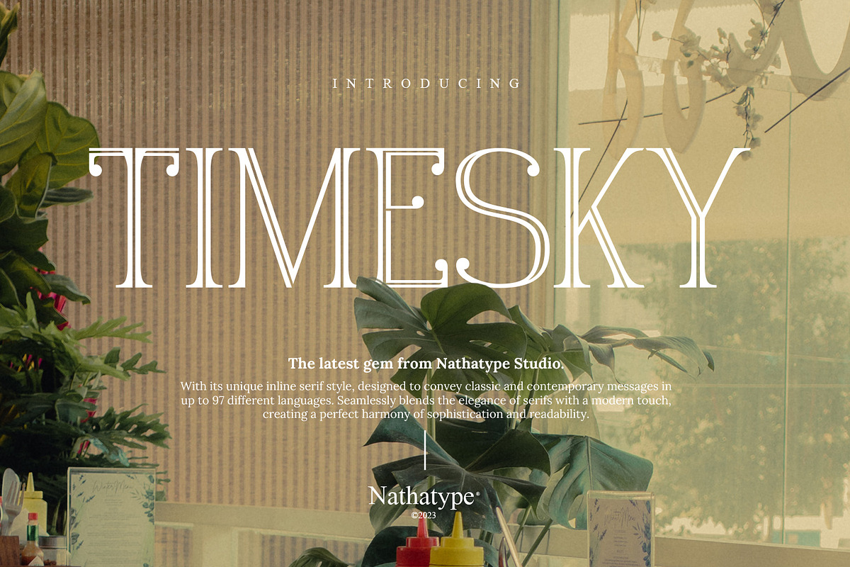 Timesky, a Serif Font by Nathatype (Photo 1 of 11)