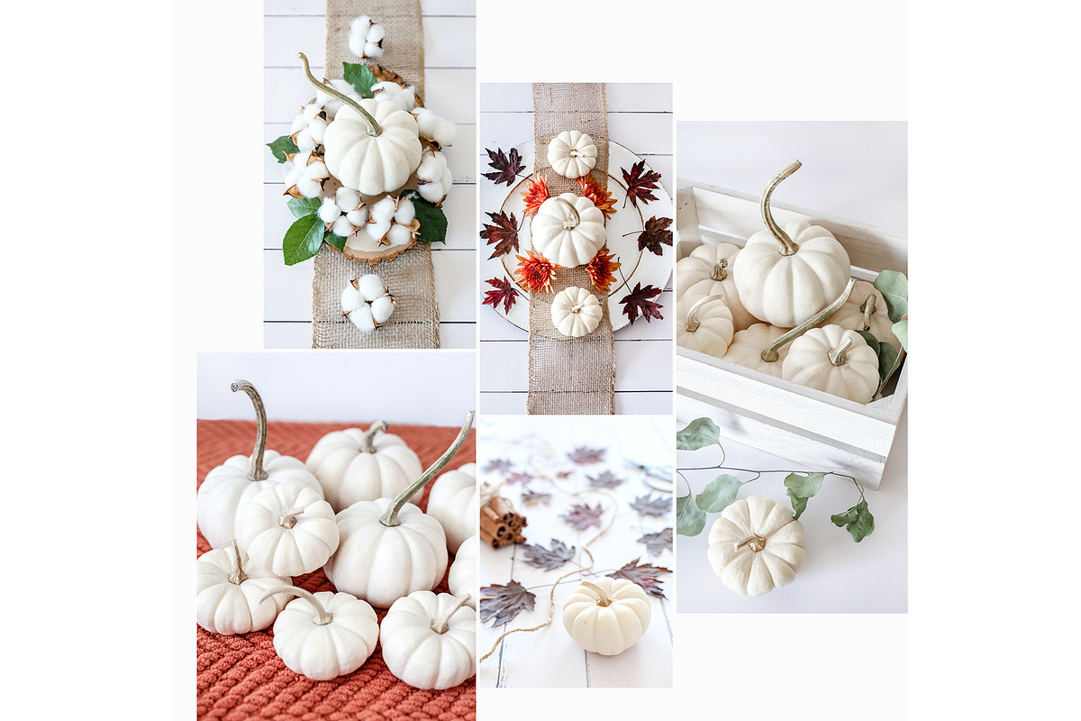 Fall Color Bundle Stock Photos, a Background Photo by SunnyTangerine Stock (Photo 4 of 10)