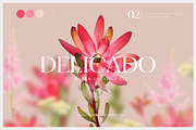 #2 Delicado. Branding & social media
