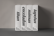 Silk Serif - 14 font family, a Serif Font by Silktype (Thumbnail 12 of 17)
