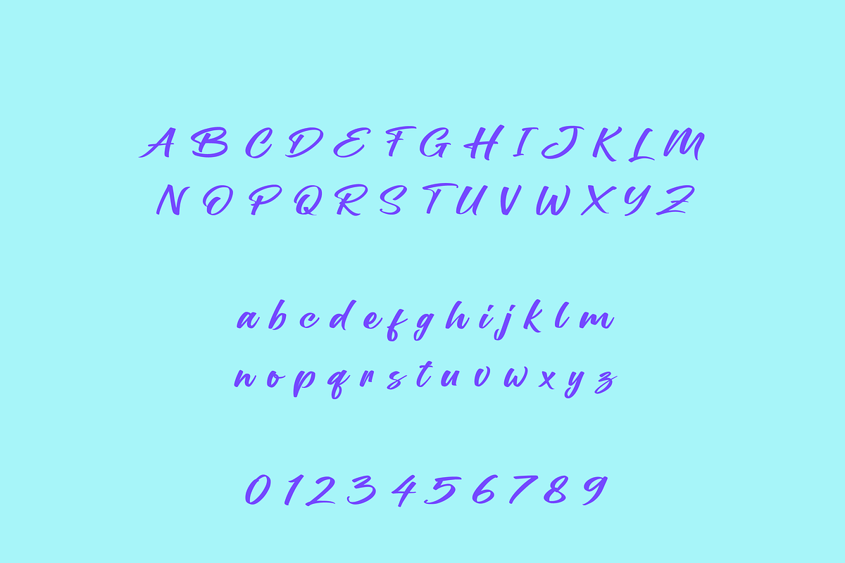 Liny Script Font, a Script Font by Creative Foundry (Photo 7 of 9)