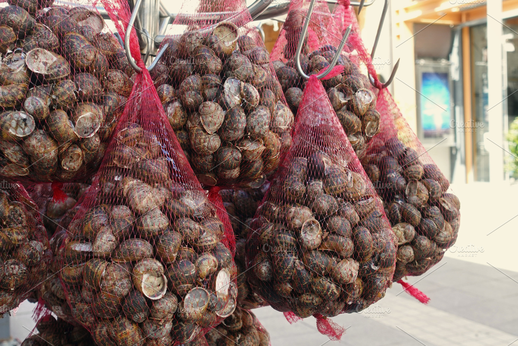 Escargot Edible Land Snails, a Food & Drink Photo by sirylok