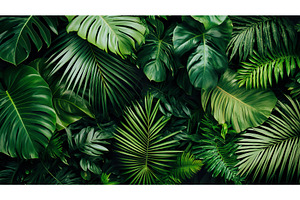 Lush green tropical leaves with, a Nature Photo by Lermont51