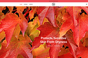 Shopify Candle Theme Light Red, a Templates & Theme by Exclusive Themes (Thumbnail 2 of 10)