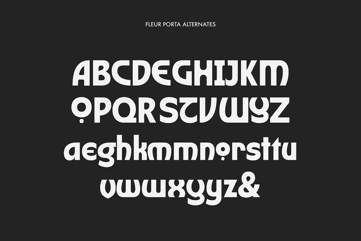 Fleur Porta | Display Sans, a Sans Serif Font by Jolicia Type (Photo 11 of 14)