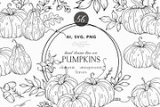 Hand Drawn Pumpkin SVG arrangements, an Object Graphic by CaraulanStore (Thumbnail 1 of 8)