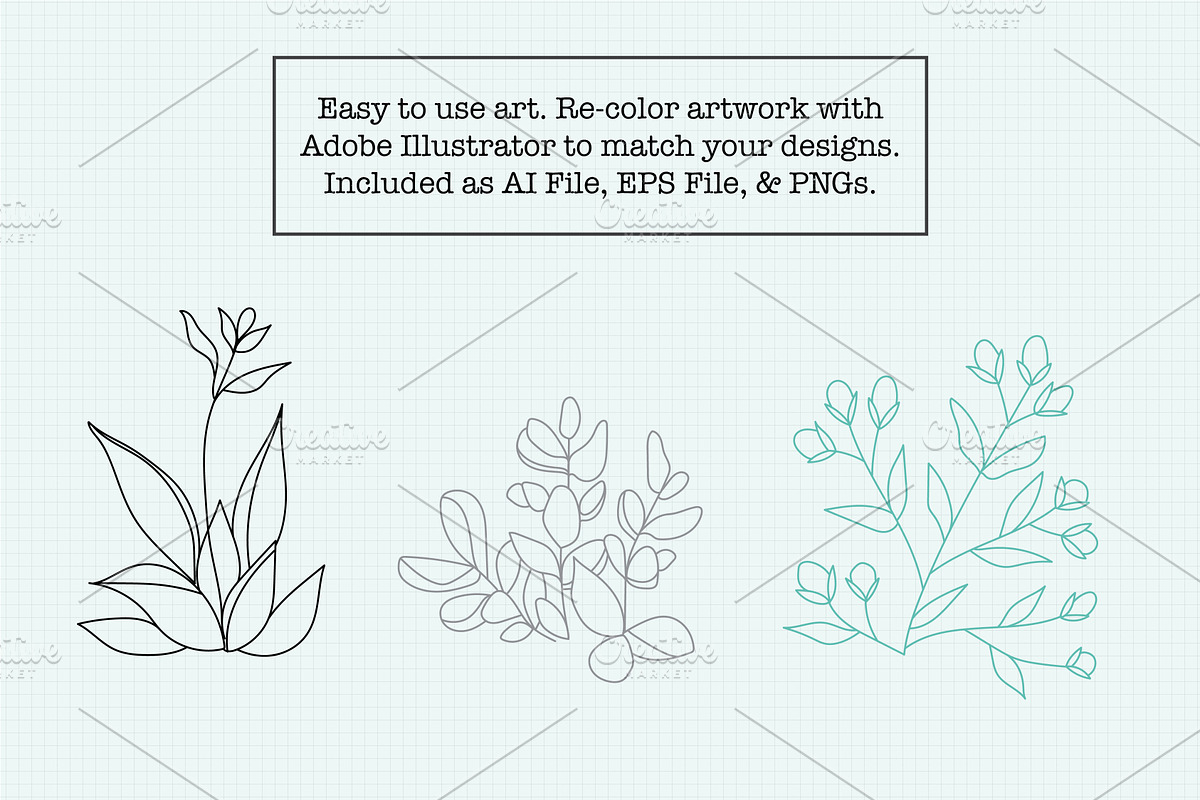 Minimalist Succulent Clipart Bundle, an Illustration by Hannah Eliza Studio (Photo 3 of 6)