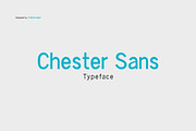 Chester Sans - Type Family, a Sans Serif Font by BorisG (Thumbnail 1 of 13)