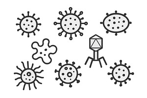 Vector representation of various, an Illustration by ZinetroN