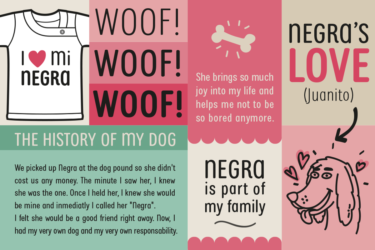 Mi Negra, a Sans Serif Font by Letritas (Photo 5 of 8)