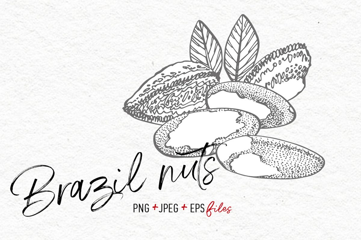 Nuts &  Health snacks, a Food Illustration by Ann Astro (Photo 10 of 12)