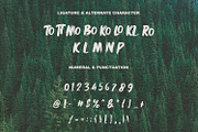 Rickbers Brush Font, a Handwritten Font by Maulana Creative (Thumbnail 3 of 5)