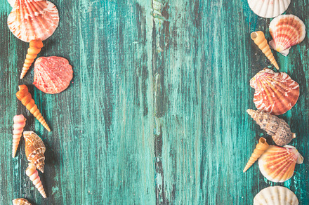 Seashell and starfish frame on woode, a Holiday Photo by hitdelight