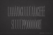 Brume - super long display font, a Serif Font by Only Fonts (Thumbnail 8 of 9)