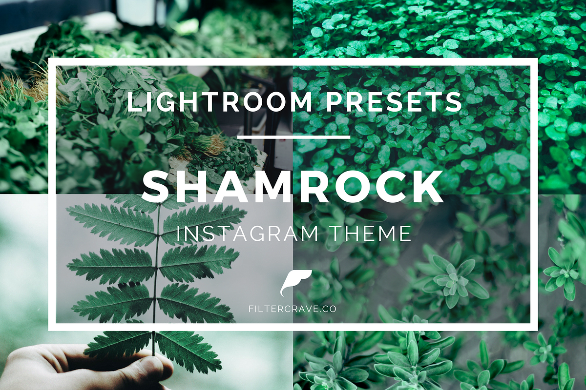 Shamrock Lightroom Presets Instagram, an Action Add-On by Filtercrave (Photo 7 of 8)