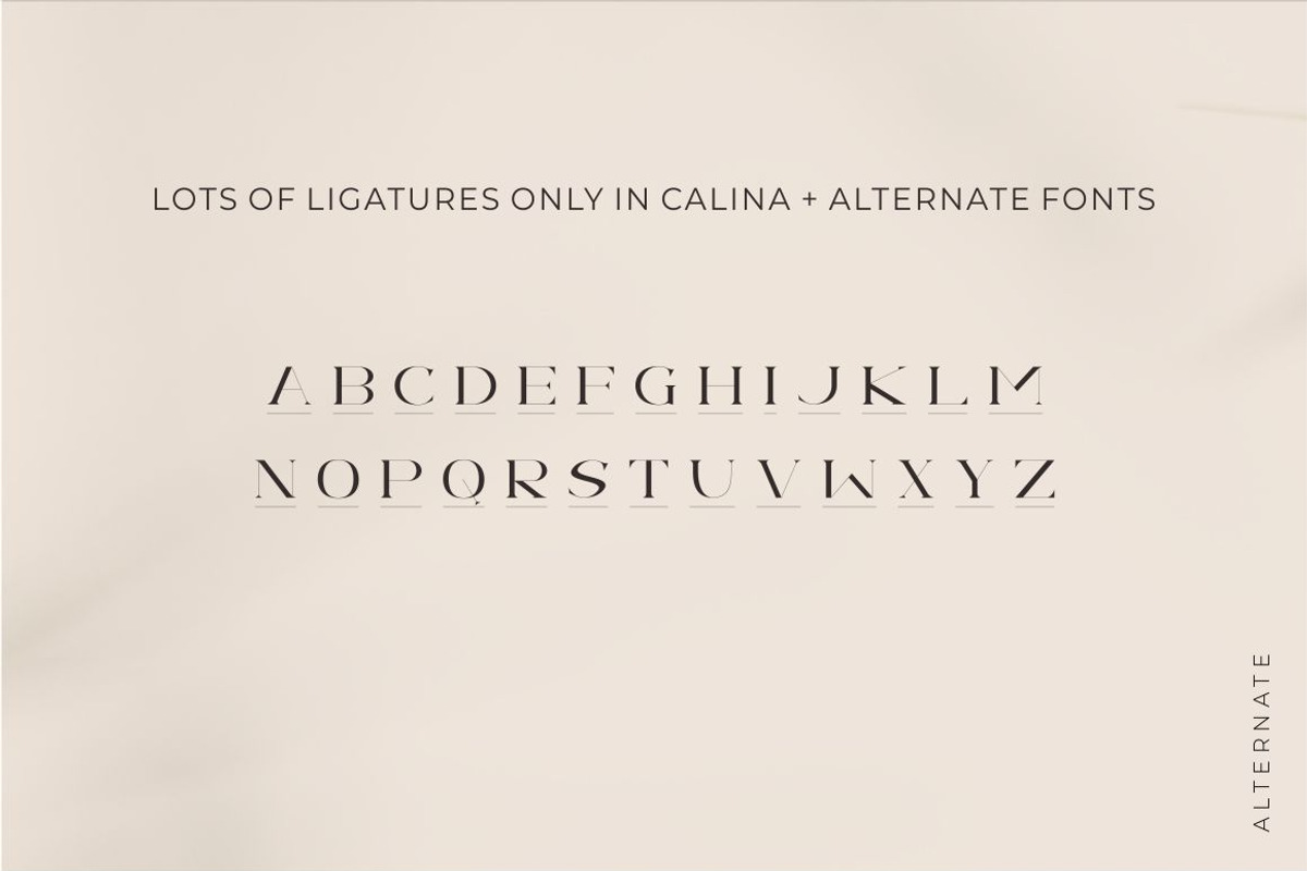 Calina serif classy font, a Serif Font by suhadidesign (Photo 17 of 18)