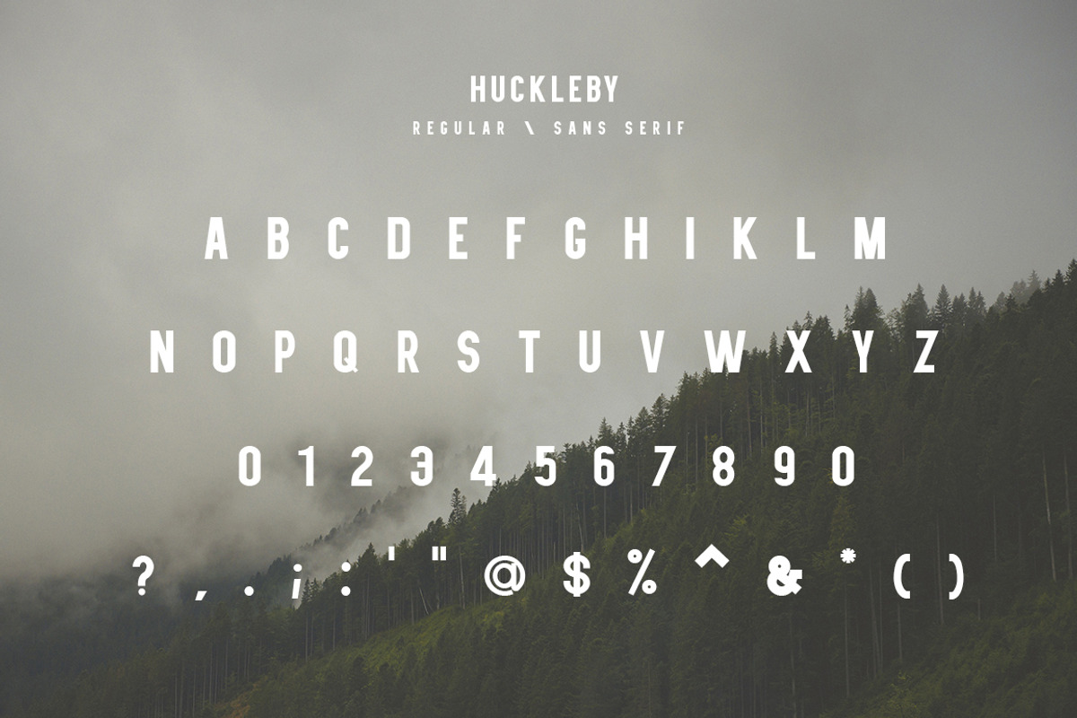 Huckleby | Vintage Sans Serif Family preview 2