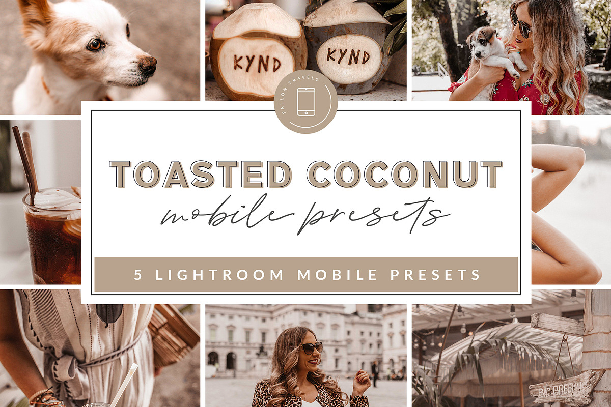 Toasty Lightroom Mobile Presets